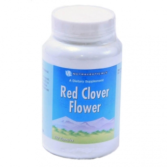 Квітки червоної конюшини (Red clover flower)